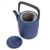 Japanese Cast Iron Teapot Kettle with Stainless Steel Infuser 
