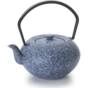 Japanese Tea Ceremony Cast Iron Enamel Teapot Tetsubin Water Kettle with Infuser 