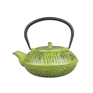 Green Japanese Enamel Cast Iron Teapot 500ml Tetsubin Water Kettle