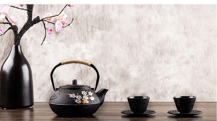 Japanese Cast Iron Teapot Kettle Plum Blossom Teapots: Tips for using tea pot