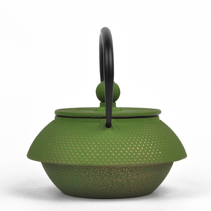 Cast Iron Teapot Japanese Cast Iron Tea Kettle with Tea Strainer