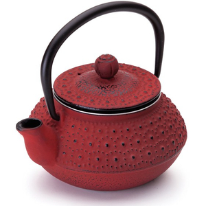 Cast Iron Teapot Red Japaness Antique Tea Pot Water Kettle Tetsubin