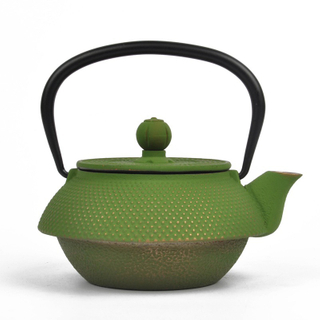 Cast Iron Teapot Japanese Cast Iron Tea Kettle with Tea Strainer