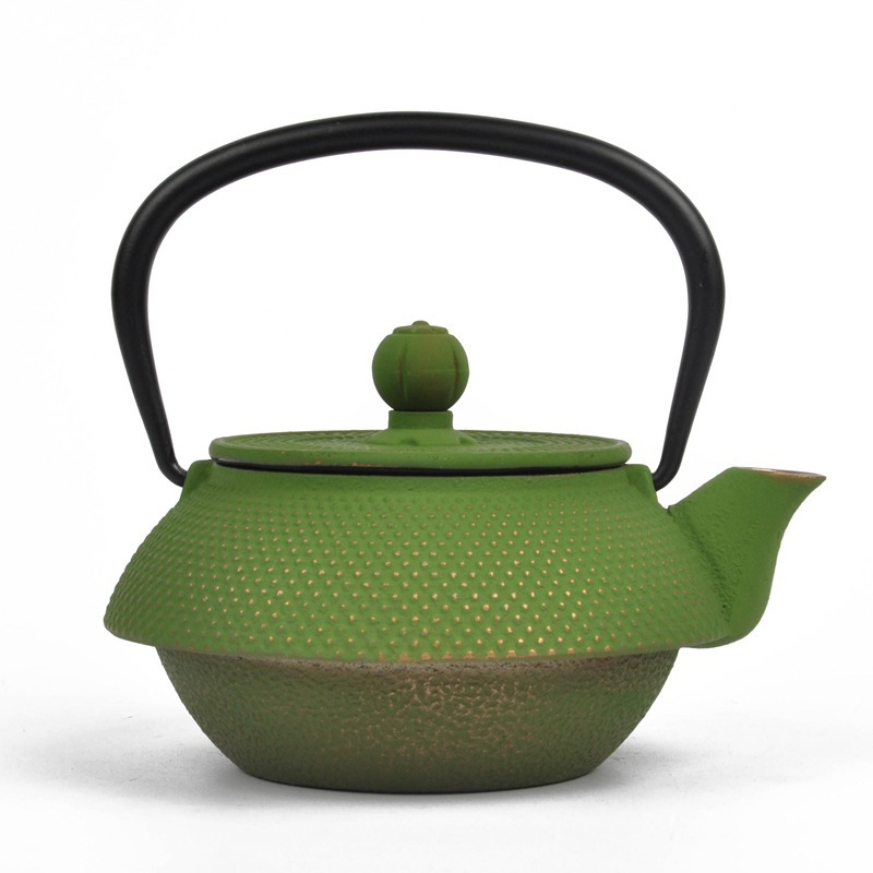 Cast Iron Teapot Japanese Cast Iron Tea Kettle with Tea Strainer