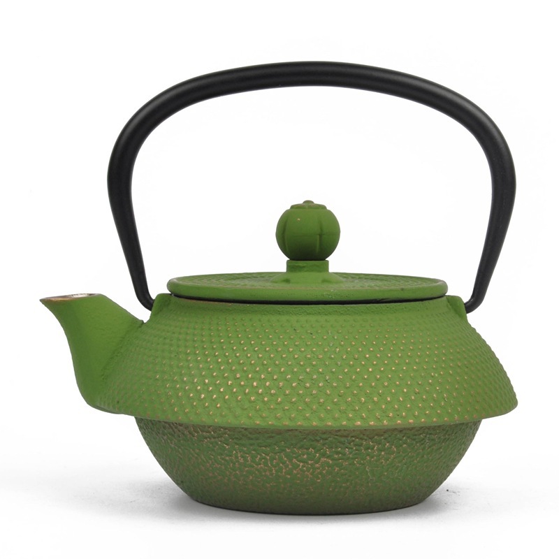 Cast Iron Teapot Japanese Cast Iron Tea Kettle with Tea Strainer