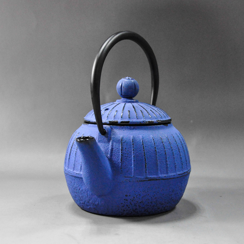 Cast Iron Tea Kettle with Infuser in Blue