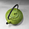 Cast Iron Tea Kettle Teapot with Infuser in Green 500mL