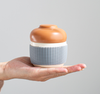 Travel Ceramic Tea Set Cute Pine Cone Portable Kungfu Tea Set for Travel Office Home