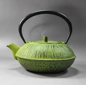 Cast Iron Tea Kettle Teapot with Infuser in Green 500mL