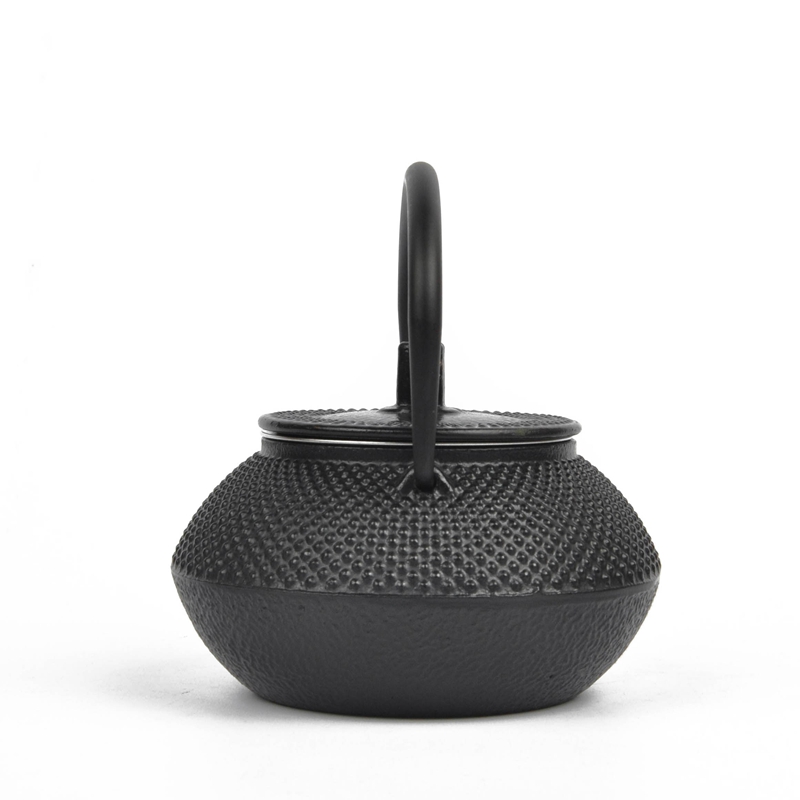 Small Cast Iron Teapot Japaness Water Kettle Tetsubin Iron Bottle