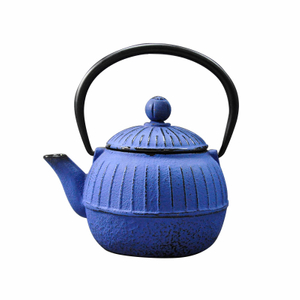 Cast Iron Tea Kettle with Infuser in Blue