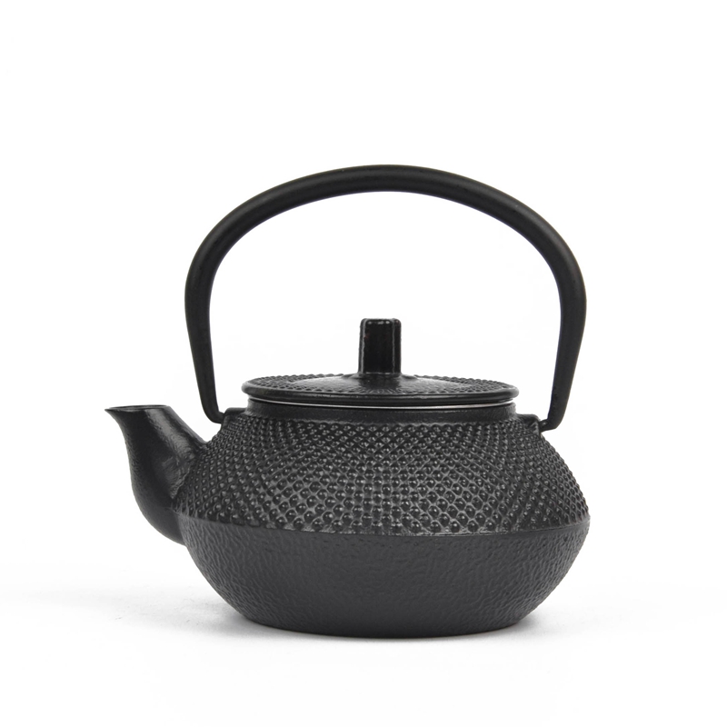 Small Cast Iron Teapot Japaness Water Kettle Tetsubin Iron Bottle